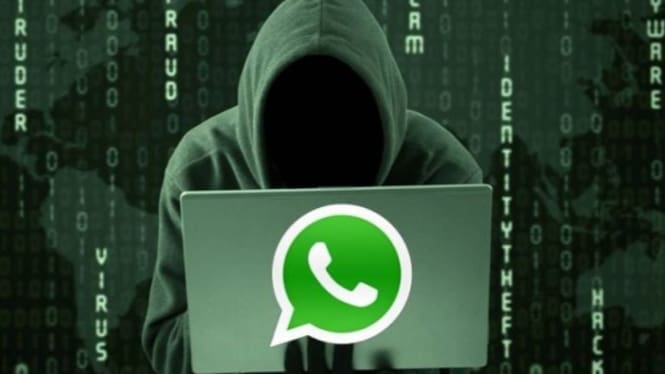 Serem! Ini Ciri WhatsApp Disadap & Cara Biar Akun Tetap Aman