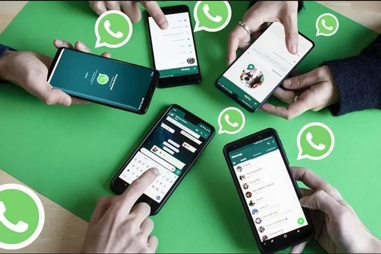 Ciri-ciri WhatsApp Kamu Diblokir! Jangan Panik, Cek Pakai Cara Ini!