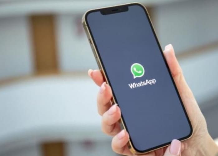 14 Aplikasi Pelacak Nomor Whatsapp Paling Mudah Dan Akurat!