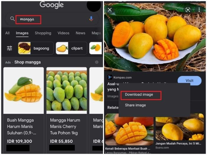 Unduh Foto Favorite Lewat HP Dan Laptop? Begini Cara Mudahnya!