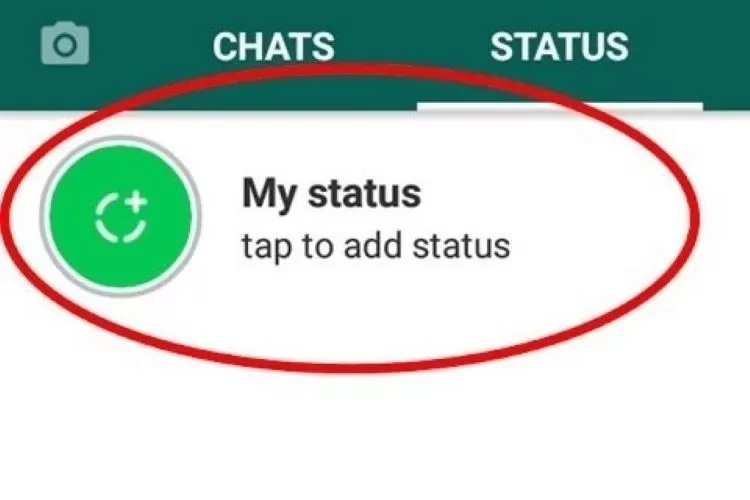 Begini Cara Lihat Status WhatsApp yang Udah Dihapus, Gampang Banget!