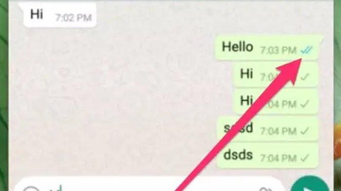 Wow! begini Cara Membuat WA Centang Satu Tapi Internet Tetap Aktif