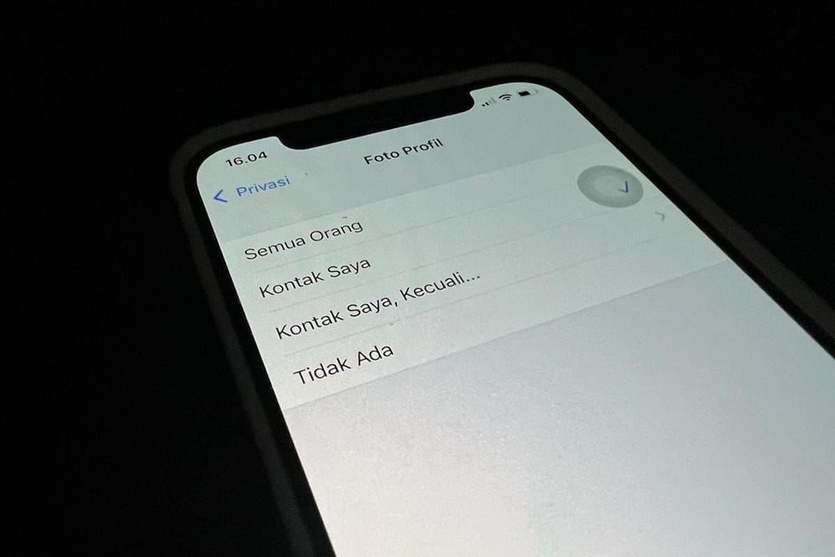 Biar Nggak Sembarangan Diambil! Begini Cara Lindungi Foto Profil WhatsApp Kamu