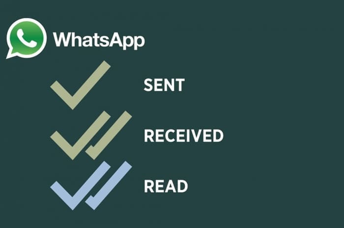 Biar WA Centang 1 Terus! Trik Jitu Buat Kamu yang Lagi Butuh “Me Time” Tanpa Drama