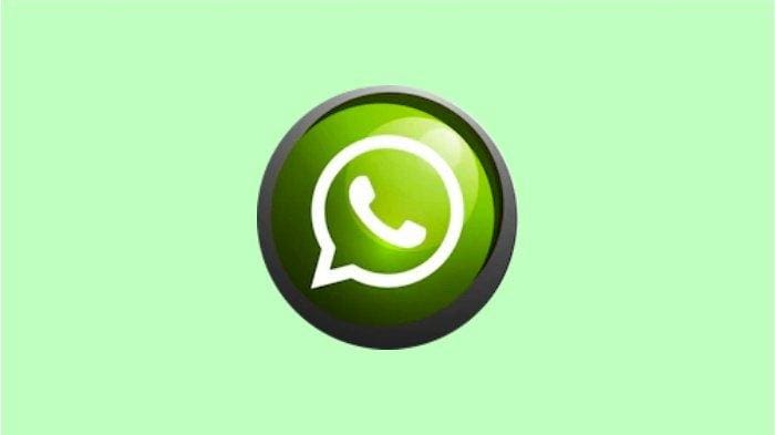 Stiker WhatsApp Berantakan? Gini Cara Bikin Favoritmu Muncul di Atas Terus!