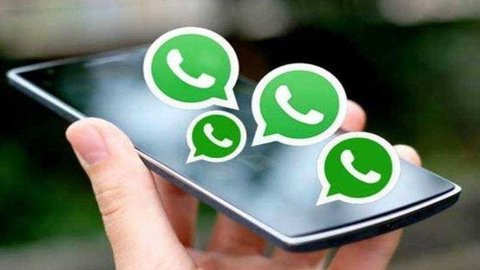 Chattingan Jadi Lebih Seru: Yuk Cobain 3 Fitur Rahasia Whatsapp Ini!