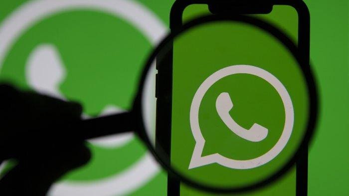 Jangan Panik! Lakukan Cara Ini Saat Akun WA Mu Disadap!