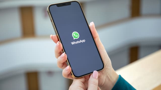 Tips Buat Polling WhatsApp Untuk Memudahkan Voting!