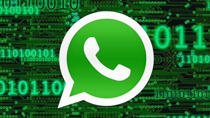 Sadap WhatsApp Tanpa Ketahuan? Cek Dulu Fakta dan Risikonya, Bro!