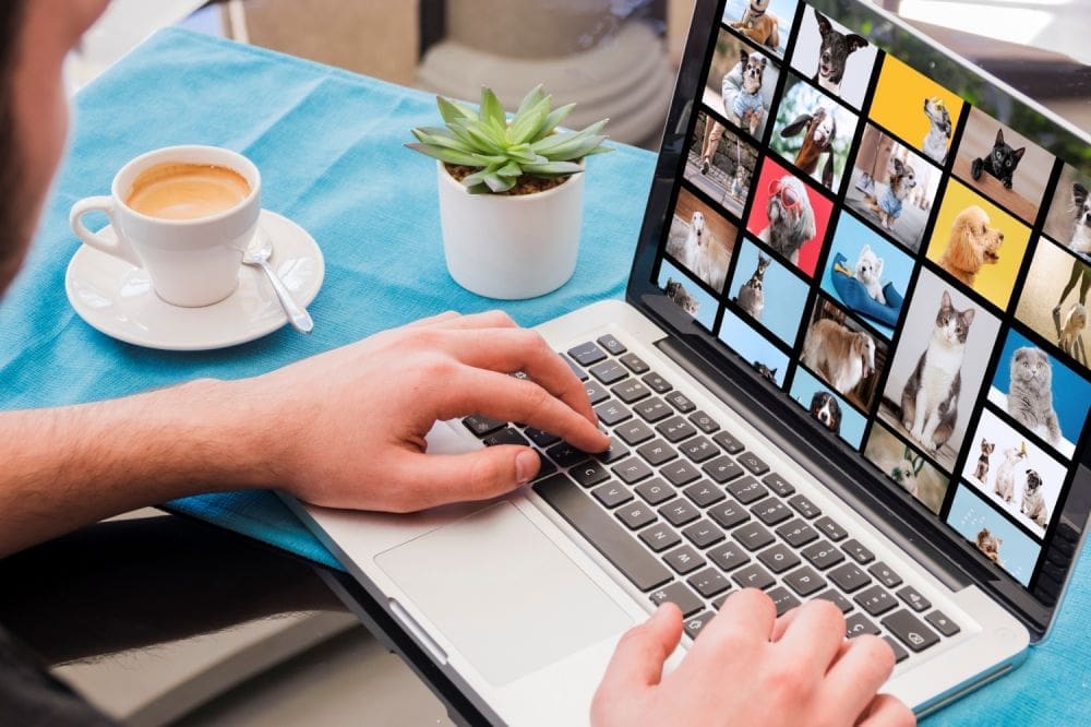 Cara Praktis Menghemat Ruang Penyimpanan Di Google Foto; Gampang Banget!