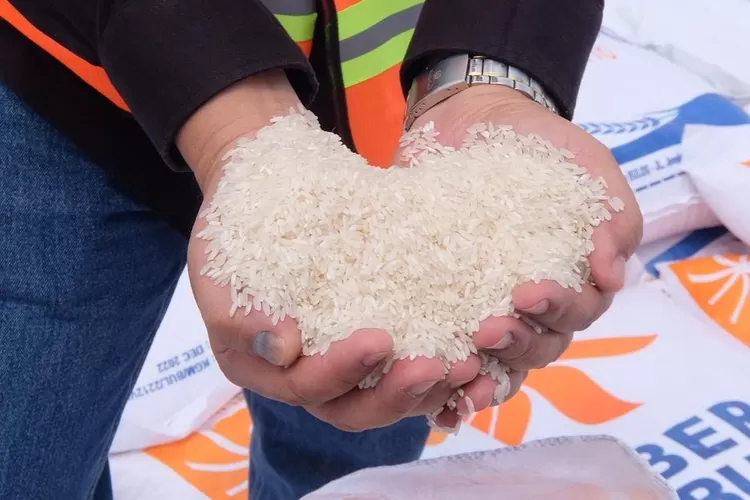 Bantuan Beras dari Pemerintah akan Turun Akhir Bulan Ini
