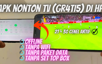 5 Cara Mengecek HP Bisa TV Digital oFFLINE atau Belum