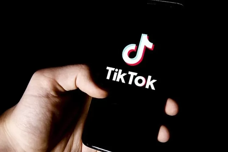 Download Video TikTok HD Tanpa Watermark! Begini Cara Cepat Simpan Konten Favorit Full Resolusi