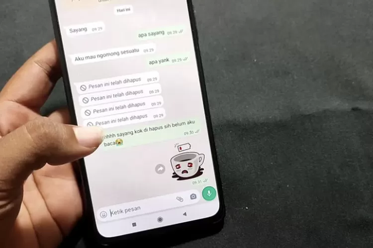 Penasaran Dengan Chat WA Yang Telah Di Hapus? Ini 3 Tips Membacanya!