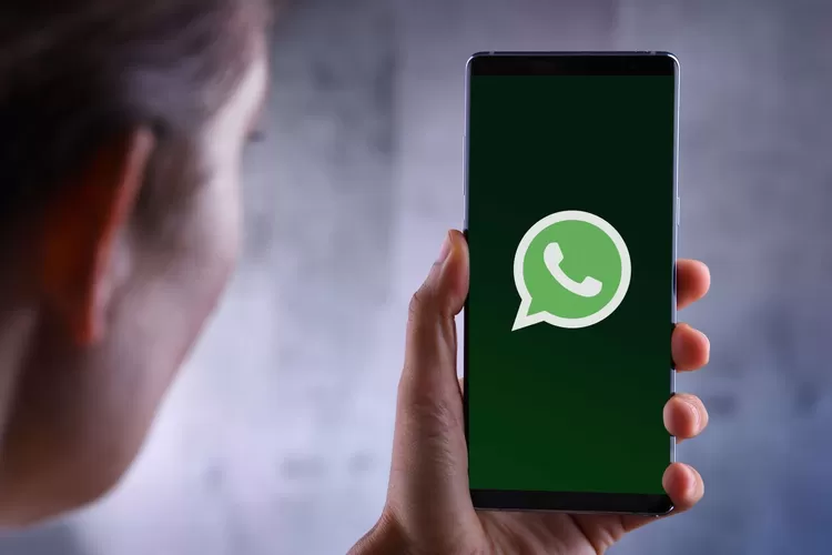 6 Cara Mengembalikan Kontak WhatsApp yang Hilang