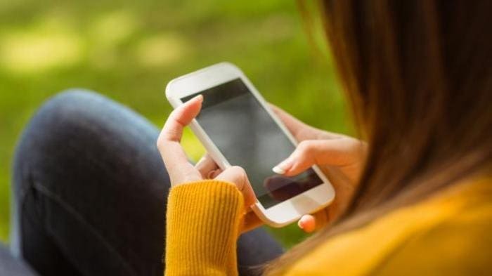 Cara Membuat WhatsApp Centang Satu Meski Terhubung dengan Internet