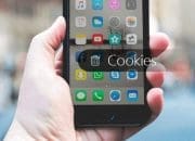 Cara Menghapus Cookies di iPhone, untuk Tingkatkan Performa