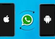 Begini Trik Memindahkan Chat Whatsapp Dari Iphone Ke Android