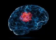 China Ciptakan Teknologi AI Mirip Otak Manusia