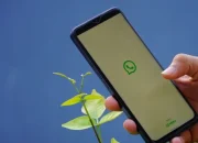 Username Akan Segera Bisa Digunakan di WhatsApp untuk Semua