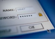 100 Daftar Password yang Gampang Diretas Hacker