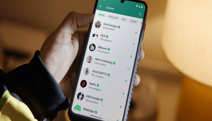 Udah Lama Ada, Tapi Banyak yang Belum Tahu! Ini Dia Fungsi Fitur Saluran WhatsApp