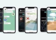 Cara Ubah Tampilan Background Chat WhatsApp di iOS