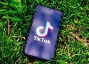 Cara Pulihkan Akun yang Terkena Banned Oleh Tiktok