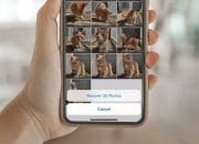 Cara Pulihkan File Foto yang Hilang di Perangkat