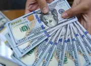 Ingin Hasilkan Uang Dari HP? Yuk Coba 8 Aplikasi Ini!