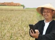 4 HP dengan Sinyal Kuat Buat Liburan Akhir Tahun ke Daerah Pelosok