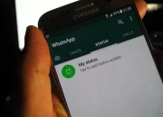 Baru! Fitur Musik Di Status WA Begini Cara Pakainya