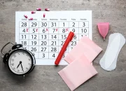 Rekomendasi 5 Aplikasi Penghitung Masa Subur Di HP