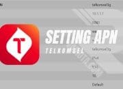 Cara Pengaturan APN Telkomsel untuk Jaringan Lebih Cepat dan Stabil