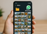 Media WhatsApp Tidak Harus Masuk Galeri Kalau Pengaturannya Tepat
