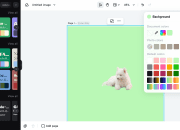 CapCut Hack: Cara Menyatukan Warna Objek dan Background Biar Lebih Harmonious