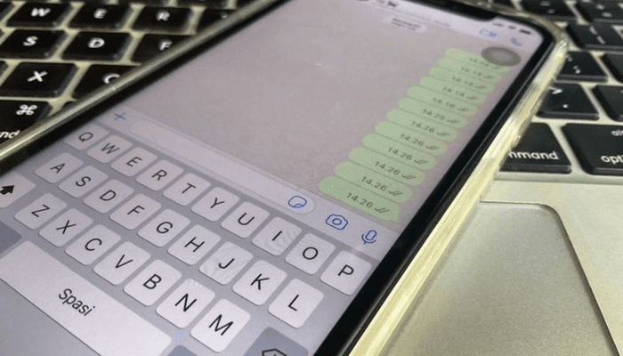 Trik Membuat Chat WhatsApp Kosong Namun Tetap Bisa Terkirim