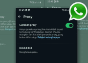 Fitur Proxy WhatsApp Ini Bisa Dipakai Saat Jaringan Bermasalah, Tetap Terhubung Tanpa Panik