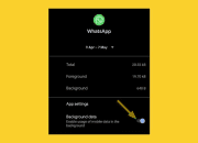 Cara Menyembunyikan Aktivitas WhatsApp Tanpa Harus Offline dan Tetap Terlihat Normal