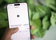 6 Aktivitas yang Sering Dilakukan Pengguna di ChatGPT