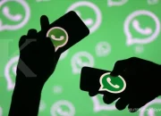 Tanpa Muncul Tulisan Online Kamu Bisa Buka Percakapan WhatsApp