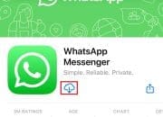 Tips Baca Chat WhatsApp Tanpa Centang Biru