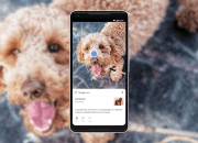 Kini Google Bisa Searching Cuma Pakai Foto