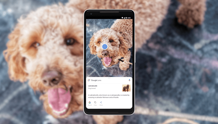 Kini Google Bisa Searching Cuma Pakai Foto