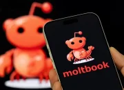 Bos AI Himbau Publik untuk Tidak Asal Pakai Moltbook