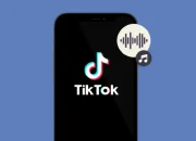 Cara Download Sound TikTok Jadi Nada Dering Whatsapp, Pakai ttok.io