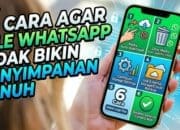 6 Cara Agar File WhatsApp Tidak Bikin Penyimpanan Penuh