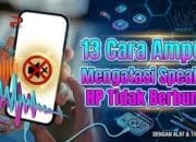 13 Cara Ampuh Mengatasi Speaker HP Tidak Berbunyi